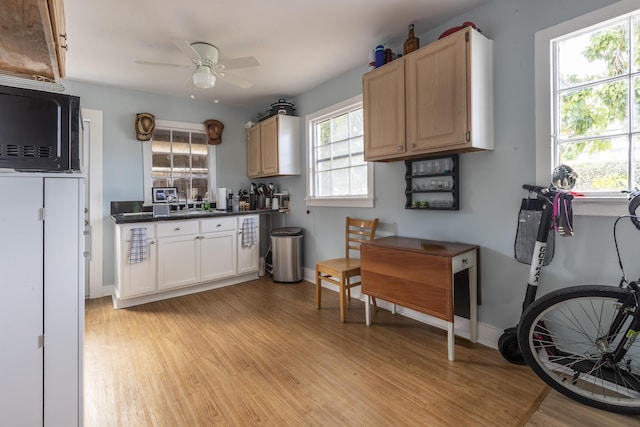 kitchen with white cabinetry, sink, light hardwood / wood-style flooring, and ceiling fan