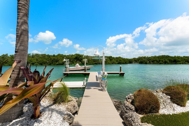 dock with boat lift and a water view