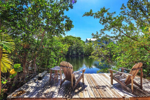 156 Pelican Ln, Big Pine, FL 33043 - photo 10