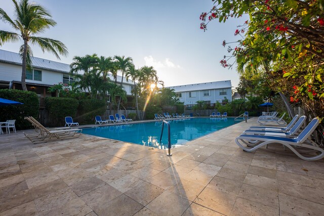 view of swimming pool with a patio