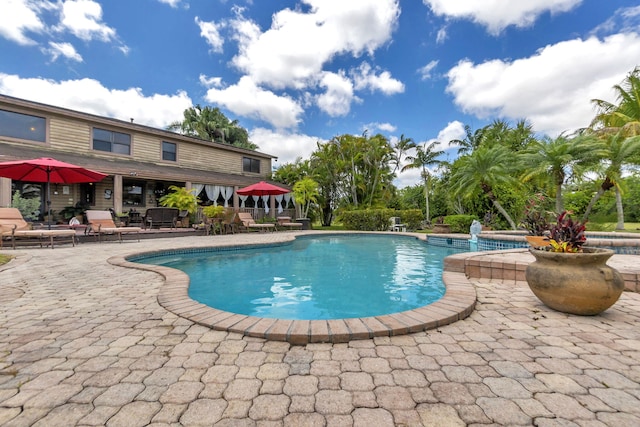 view of swimming pool with a patio