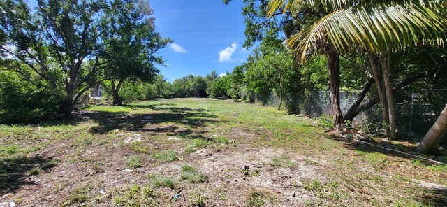 229 Coral Rd, Islamorada, FL 33036 - photo 3