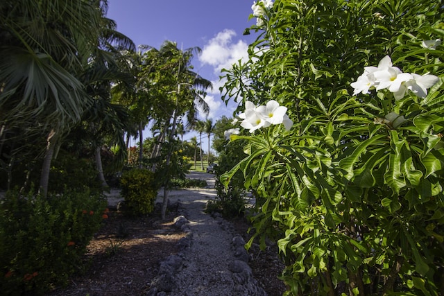 view of street featuring a rural view