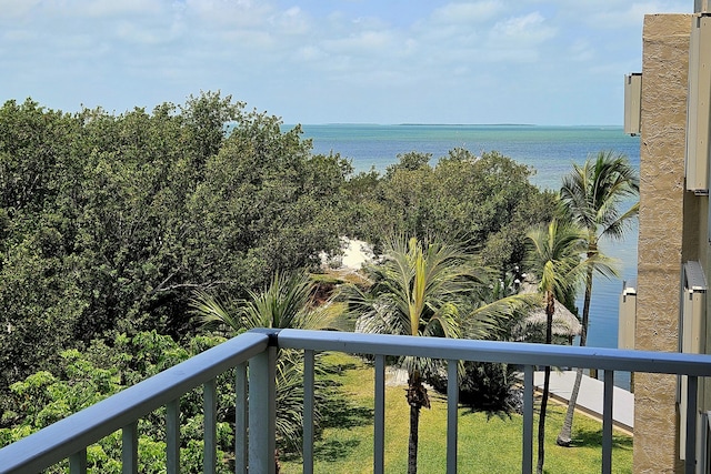 view of water feature