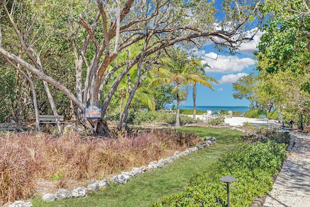 view of yard with a water view