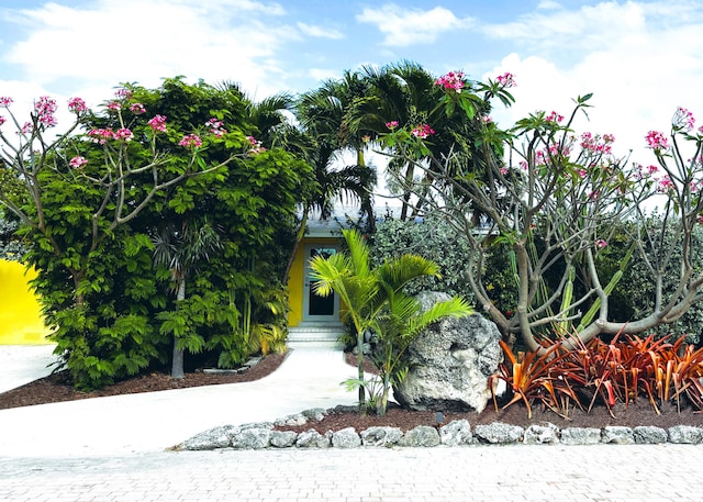 view of property's community with entry steps