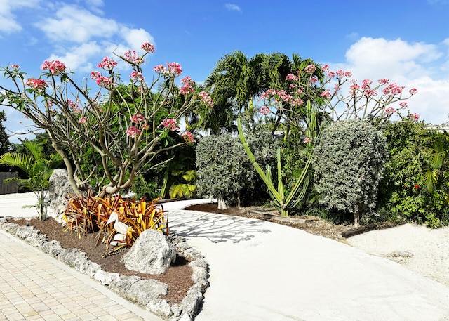 view of surrounding community