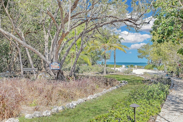 view of yard featuring a water view