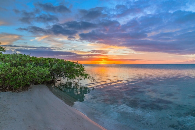 property view of water featuring a beach view