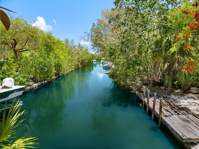 3806 Dyer Rd, Big Pine, FL 33043 - water view with a dock