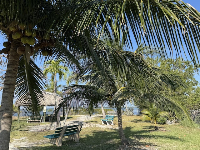 3806 Dyer Rd, Big Pine, FL 33043 - surrounding community with a lawn
