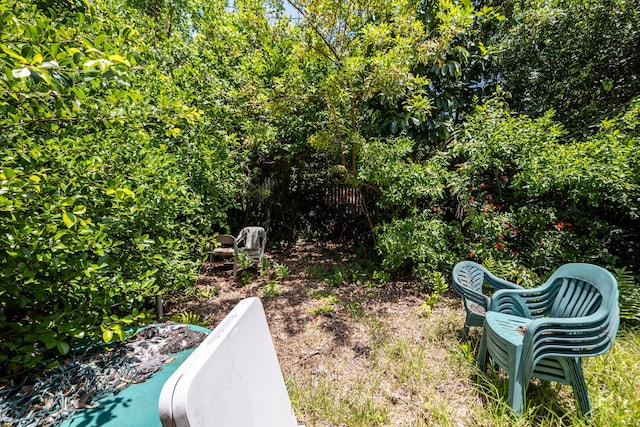 314 Southard St, Key West, FL 33040 - view of yard