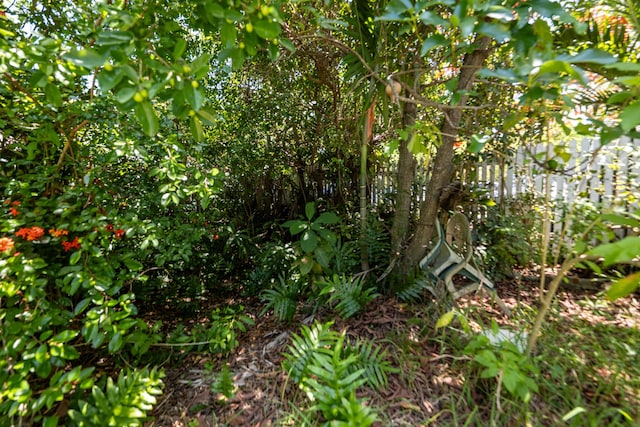 314 Southard St, Key West, FL 33040 - view of nature