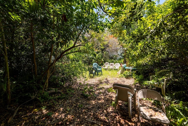 314 Southard St, Key West, FL 33040 - view of yard