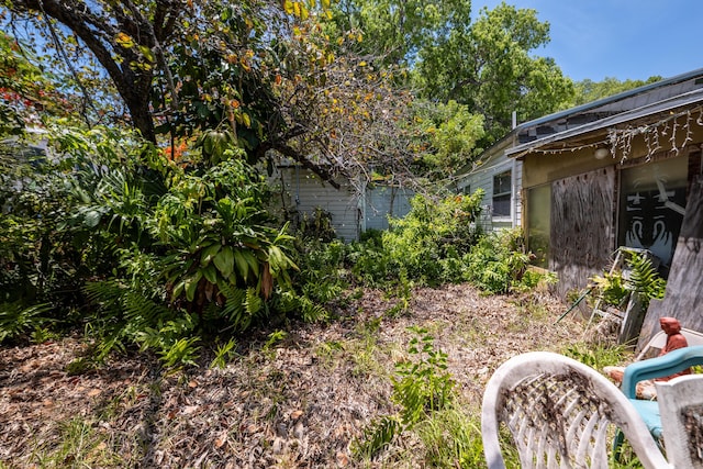 314 Southard St, Key West, FL 33040 - view of yard