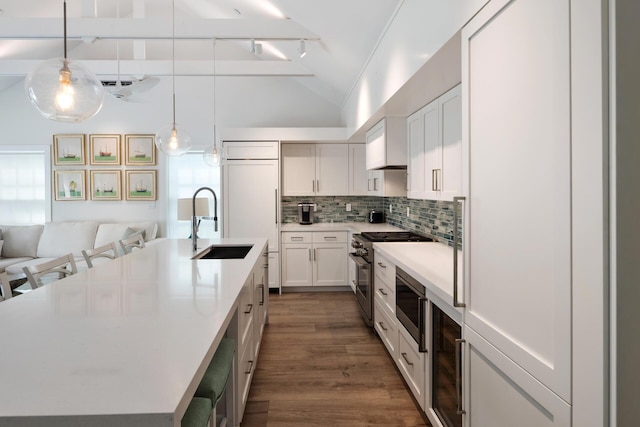 806 Southard St, Key West, FL 33040 - kitchen with a sink, stainless steel appliances, lofted ceiling, tasteful backsplash, and a spacious island