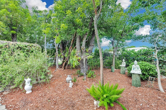 1 Sunset Rd, Key Largo, FL 33037 - view of yard
