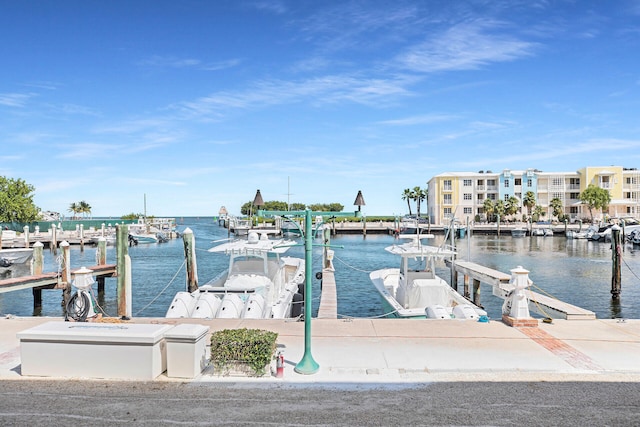 dock area with a water view