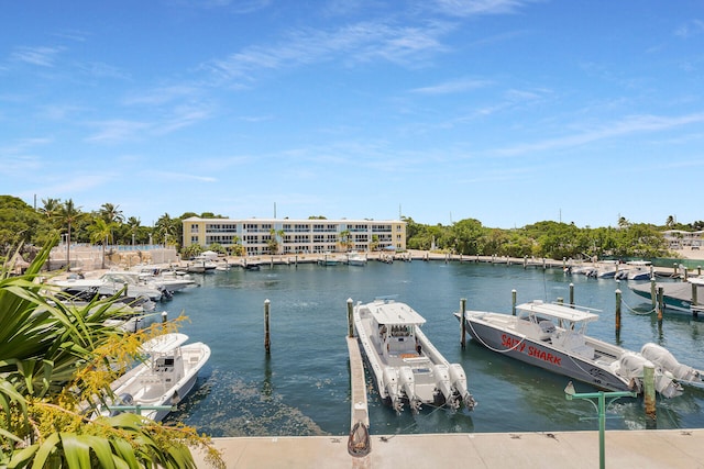 dock area featuring a water view