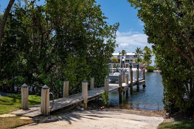 dock area with a water view