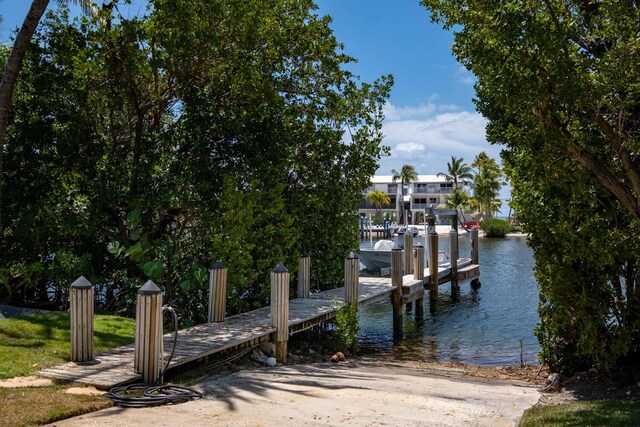 dock area with a water view