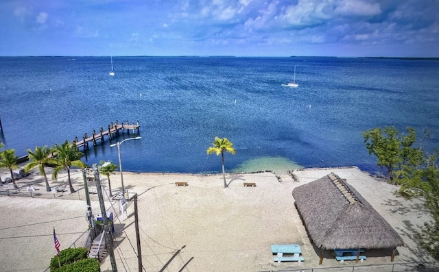 view of water feature with a dock