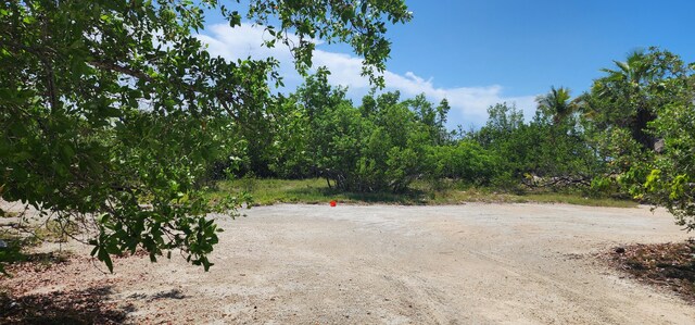 BK7LT6 Coral Way, Big Pine, FL 33043 - photo 5