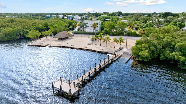 6 Silver Springs Dr, Key Largo, FL 33037 - photo 24