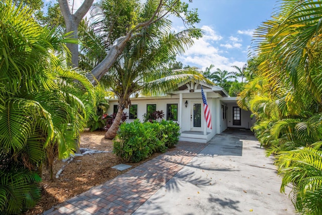 3532 Duck Ave, Key West, FL 33040 - view of front facade featuring driveway, an attached carport, and stucco siding