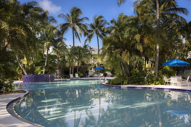 view of swimming pool