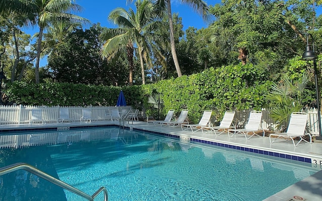 view of swimming pool