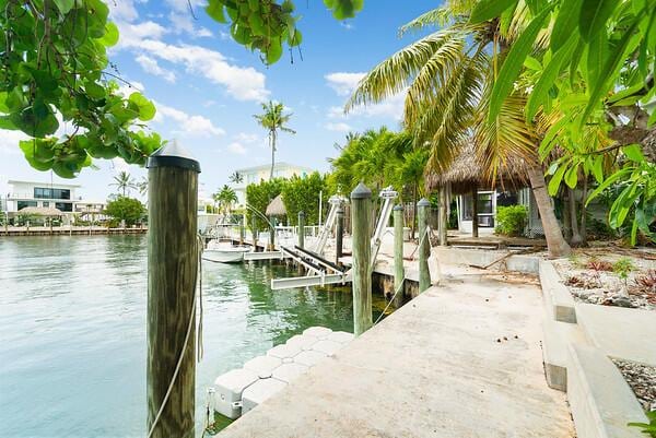 dock area with a water view