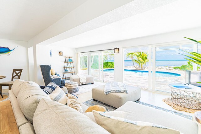 living room featuring hardwood / wood-style floors