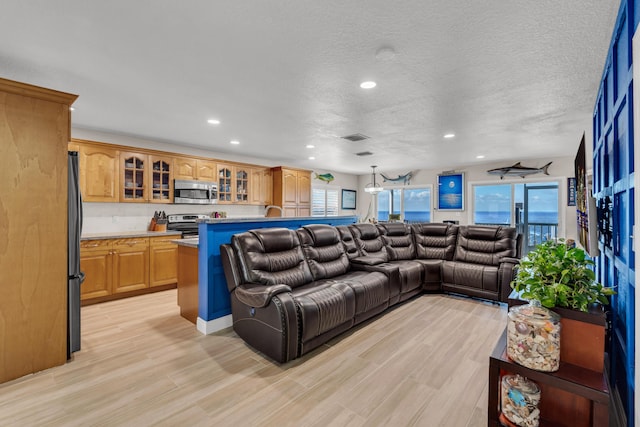 living room with a textured ceiling and light wood-type flooring