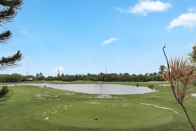 view of property's community featuring a water view and a yard