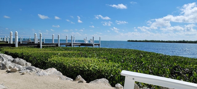 dock area featuring a water view