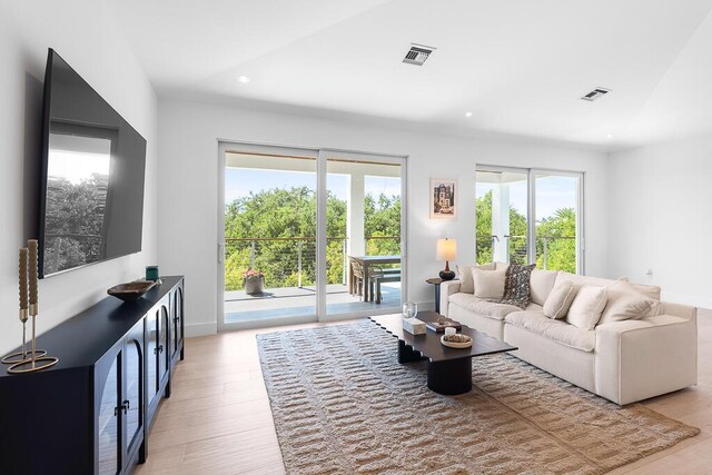 living room with light hardwood / wood-style floors and a wealth of natural light