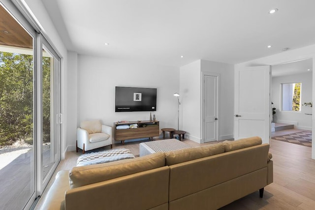 living room with light wood-type flooring