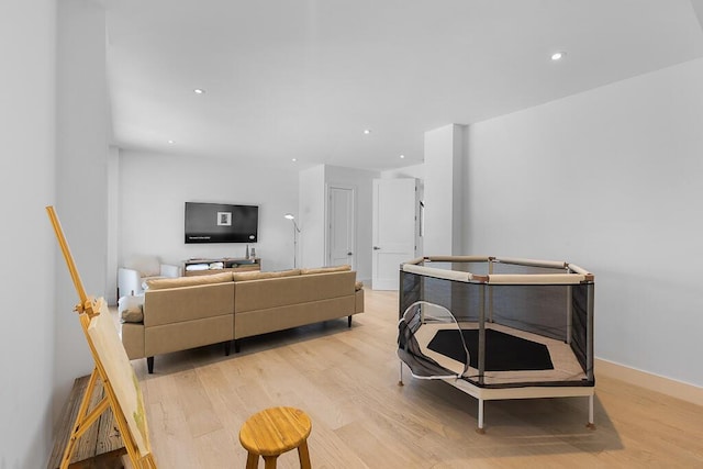 living room with light hardwood / wood-style floors