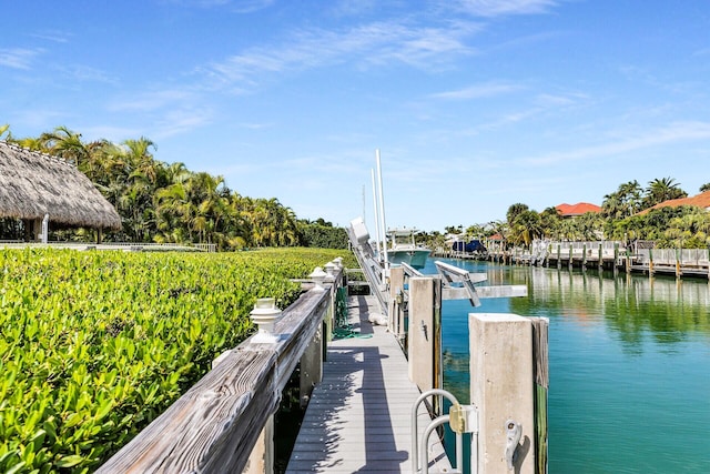 dock area with a water view