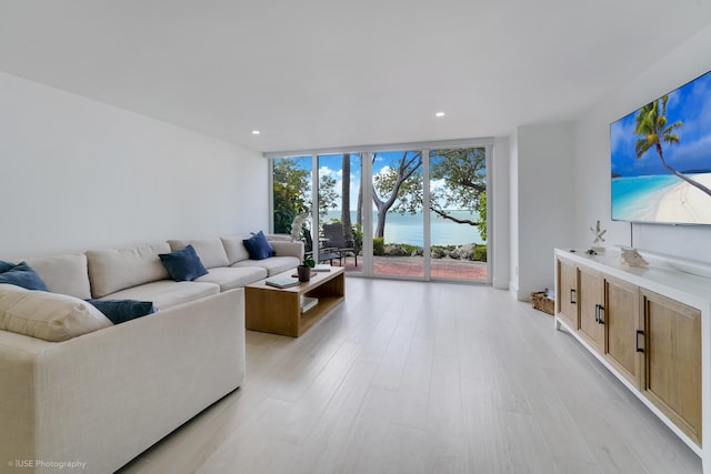 living room featuring expansive windows and light hardwood / wood-style flooring