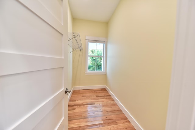 spacious closet with light wood-type flooring