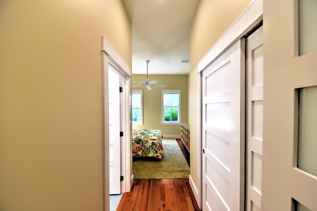hallway featuring dark wood-style flooring