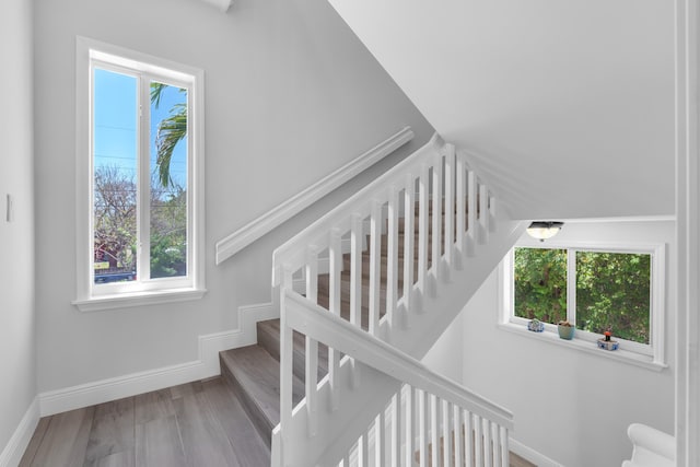 staircase featuring hardwood / wood-style flooring