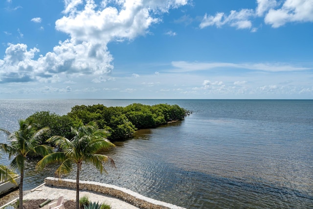120 Toner Ln, Islamorada, FL 33036 - photo 43