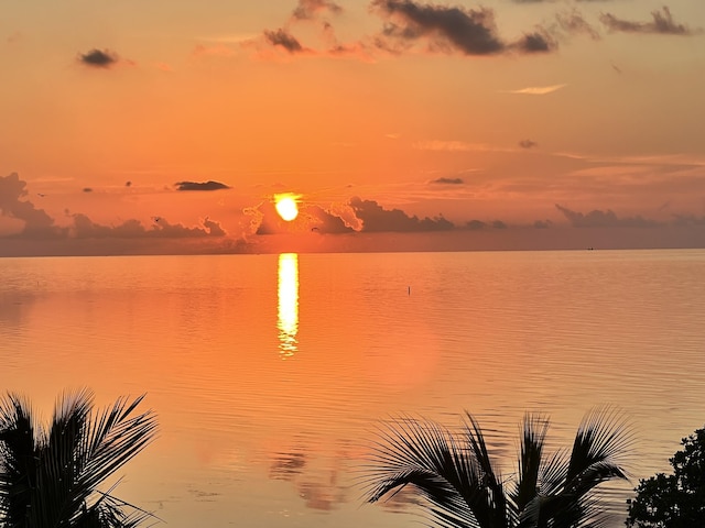 120 Toner Ln, Islamorada, FL 33036 - photo 6