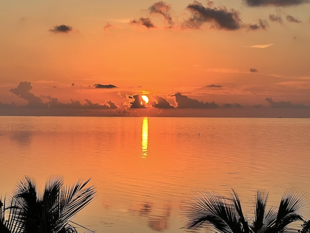 120 Toner Ln, Islamorada, FL 33036 - photo 74