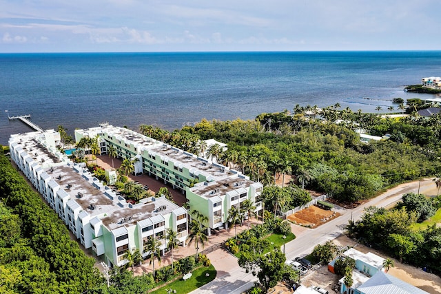 87465 Old Hwy Unit 106, Islamorada, FL 33036 - drone / aerial view of a nearby body of water