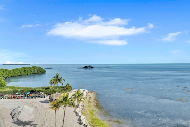 property view of water with a view of the beach