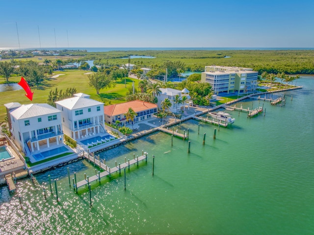 aerial view with a water view